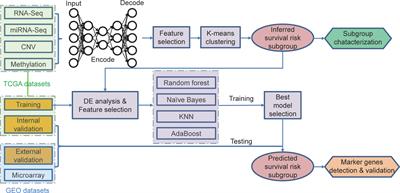 Robust Prognostic Subtyping of Muscle-Invasive Bladder Cancer Revealed by Deep Learning-Based Multi-Omics Data Integration